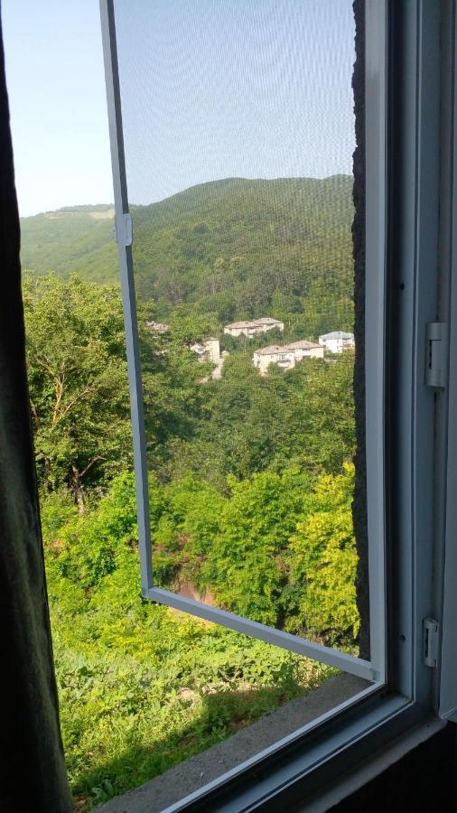Pirosmani 66 Hotel Sighnaghi Bagian luar foto