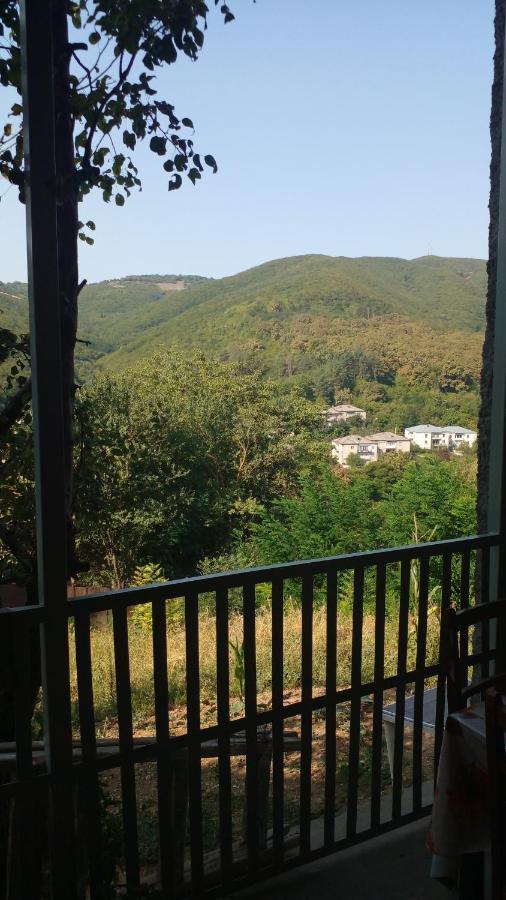 Pirosmani 66 Hotel Sighnaghi Bagian luar foto